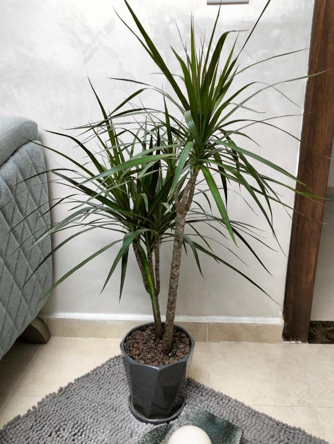 קאראק Guest House מראה חיצוני תמונה